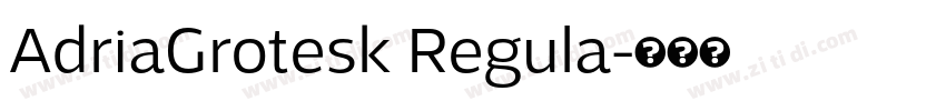 AdriaGrotesk Regula字体转换 AdriaGrotesk Regula字体转换